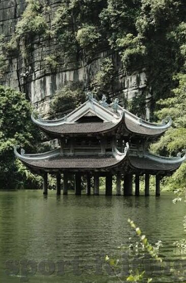 森林舞会游戏大厅破解版-破解森林舞会游戏大厅，一场虚拟冒险的边界探索