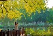 足球比分直播比分网-足球比分直播比分网，球迷的实时信息港湾